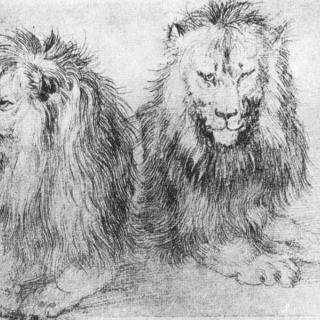 A. Dürer